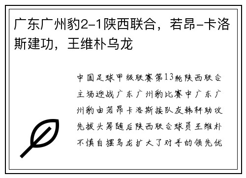 广东广州豹2-1陕西联合，若昂-卡洛斯建功，王维朴乌龙
